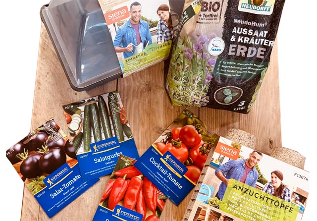 Tomaten und Paprika vorziehen